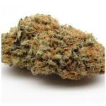 Шишки AK47  (Гидропоника, Бошка) VHQ в Канске